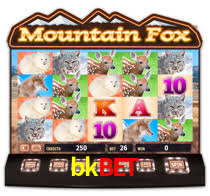 Sinta a adrenalina dos jogos de cassino com bkbet